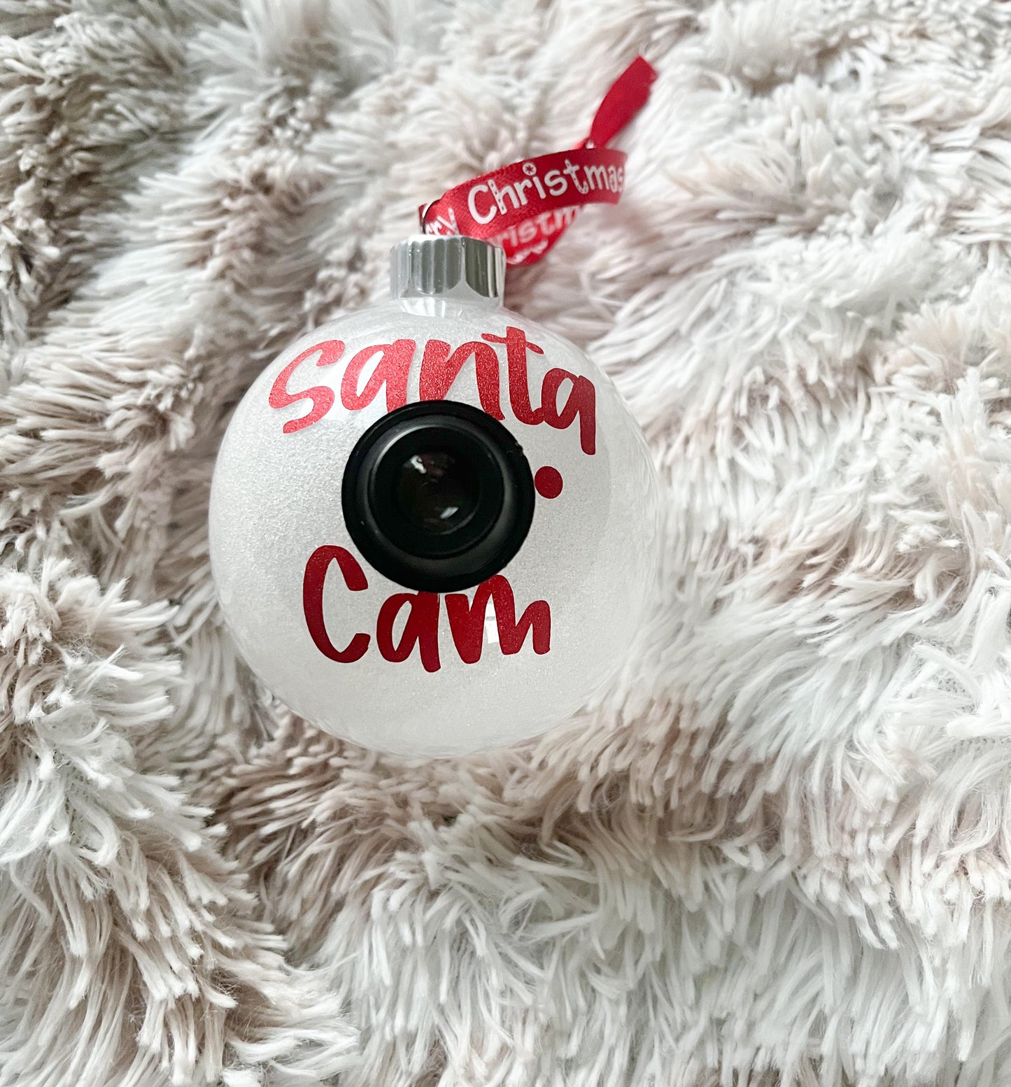 Santa Cam